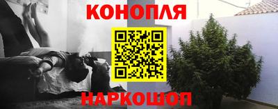 шишки Шахты