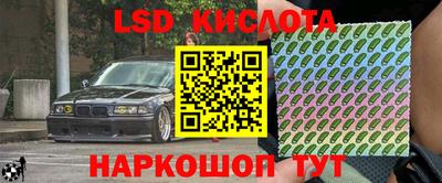 шишки Шахты