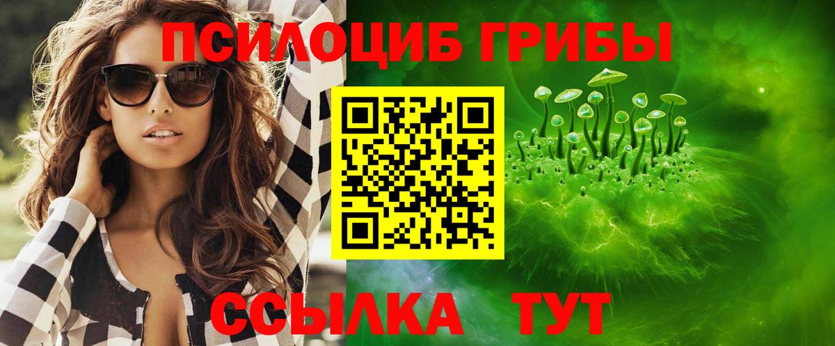 Воткинск  Псилоцибиновые грибы мицелий  Вход с VPN  Псилоцибиновые грибы GOLDEN TEACHER 
